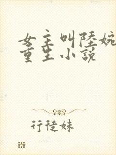 女主叫陆婉婉的重生小说