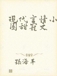 现代言情小说校园甜宠文