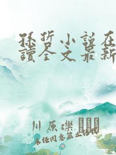 孙哲小说在线阅读全文最新