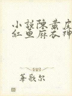 小说陈黄皮,叶红鱼麻衣神婿