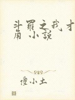 斗罗之我才是主角 小说