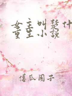 女主叫楚什么的重生小说