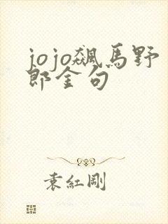jojo飙马野郎金句