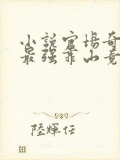 小说官场奇才:最强靠山竟是我自己李澜在