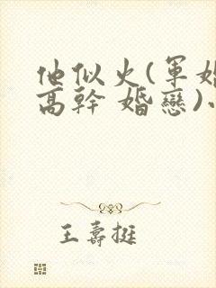 他似火(军婚 高干 婚恋)小说