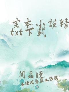 完本小说精校版txt下载
