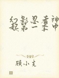 幻影忍者神龙崛起第一季中文版