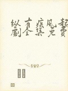 纵有疾风起电视剧全集免费观看完整版