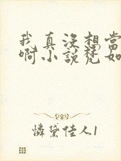 我真没想当皇帝啊小说梵如风