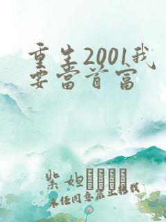 重生2001我要当首富