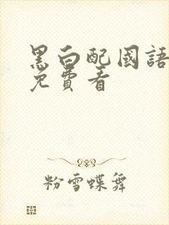 黑白配国语高清免费看