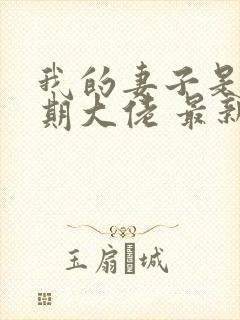 我的妻子是大乘期大佬 最新章节