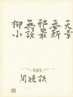 柳无邪吞天神鼎小说最新章节更新