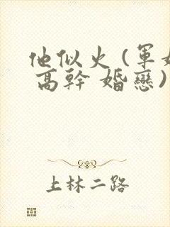 他似火 (军婚 高干 婚恋)