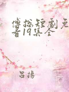 傅总短剧免费观看19集全