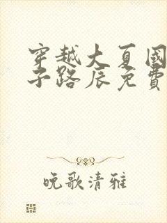 穿越大夏国九皇子路辰免费