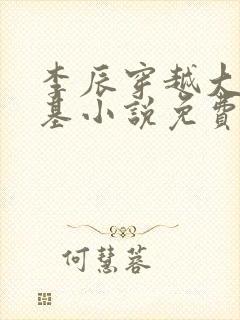 李辰穿越大魏登基小说免费阅读