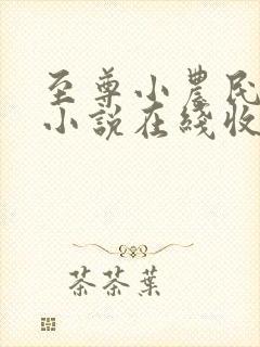 至尊小农民有声小说在线收听