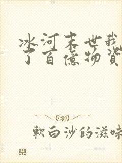 冰河末世我囤积了百亿物资吧