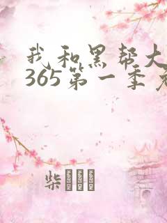 我和黑帮大佬的365第一季免费观看