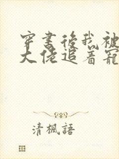 穿书后我被四个大佬追着宠下载全文