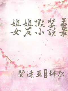 姐姐假装弟小东女友小说最新章节更