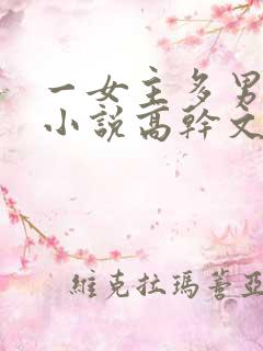 一女主多男主的小说高干文