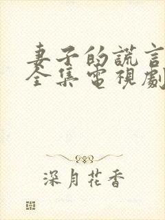 妻子的谎言在线全集电视剧