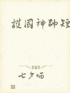 护国神帅短剧版