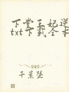 下堂王妃逆袭记txt下载全本