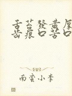 舌苔发黄厚腻有齿痕口苦口臭