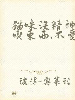 猫咪没精神,不吃东西,不爱动