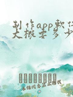 制作app软件大概要多少钱