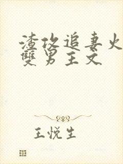 渣攻追妻火葬场双男主文