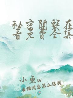 秘密关系在线观看免费全集电视剧高清