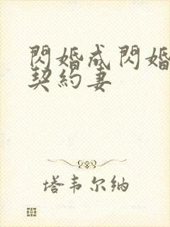 闪婚成闪婚总裁契约妻