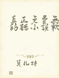 真正免费无广告的听小说软件