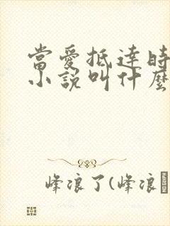 当爱抵达时原著小说叫什么