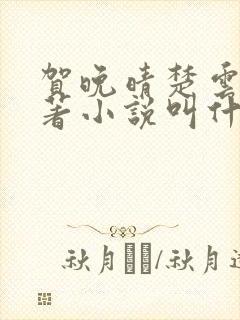 贺晚晴楚云深原著小说叫什么名字