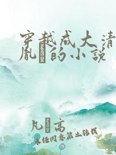 穿越成大清太子胤礽的小说