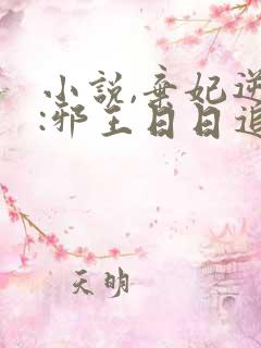 小说,弃妃逆袭:邪王日日追妻忙