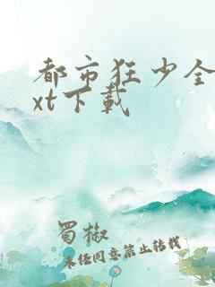 都市狂少全文txt下载