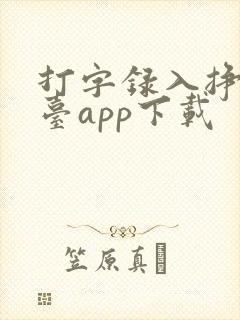 打字录入挣钱平台app下载