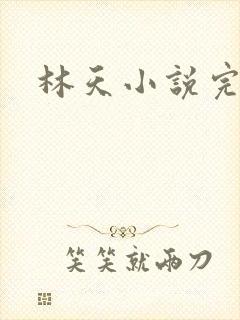 林天小说完整版