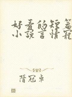 好看的短篇完结小说言情宠文
