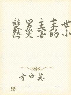 双男主末世文自然灾害的小说推荐