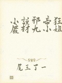 小说邪帝狂后:废材九小姐