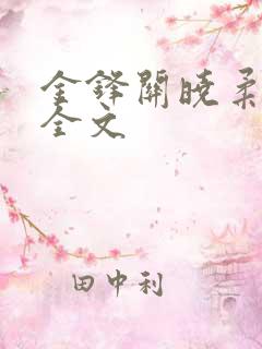 金锋关晓柔小说全文