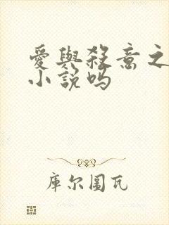 爱与杀意之夜有小说吗