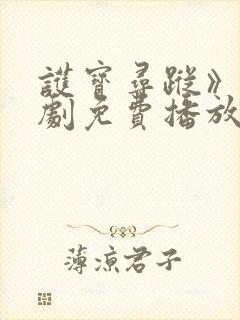 护宝寻踪》电视剧免费播放全集